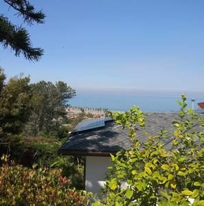 Meet your Posher, Terry